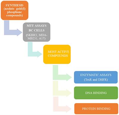 Multi-Targeted Anticancer Activity of Imidazolate Phosphane Gold(I) Compounds by Inhibition of DHFR and TrxR in Breast Cancer Cells